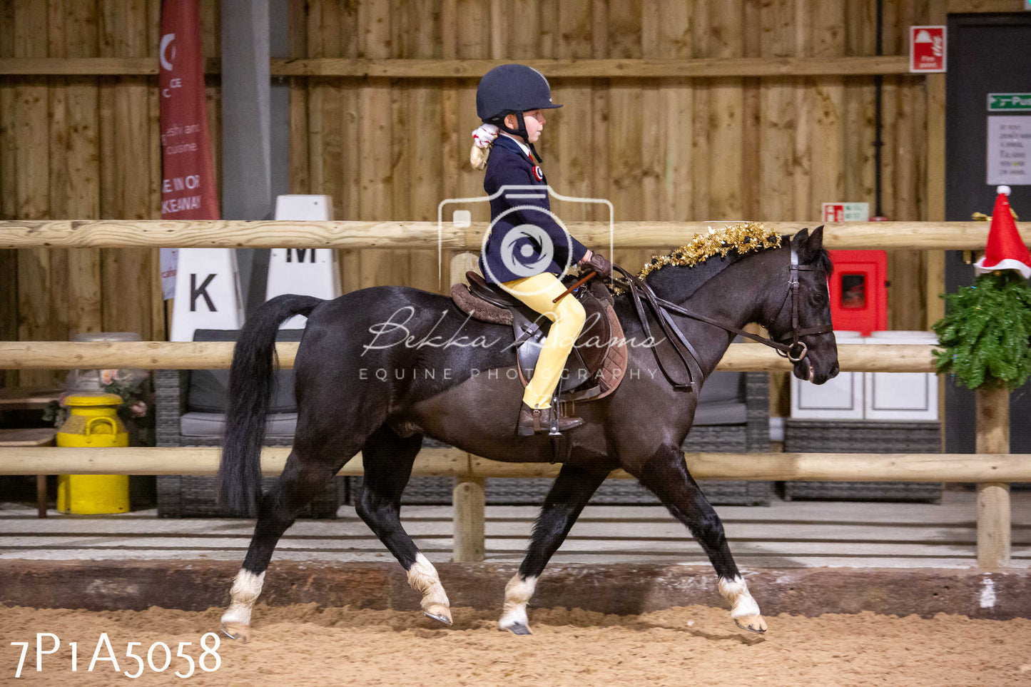 Home Farm Christmas Show 2024 - Ridden