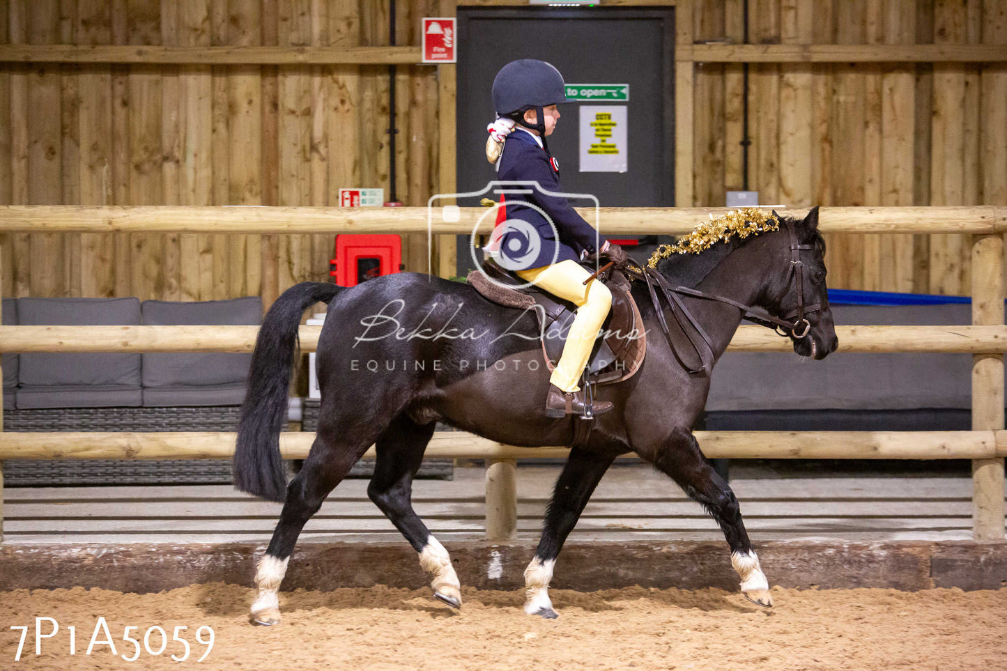 Home Farm Christmas Show 2024 - Ridden
