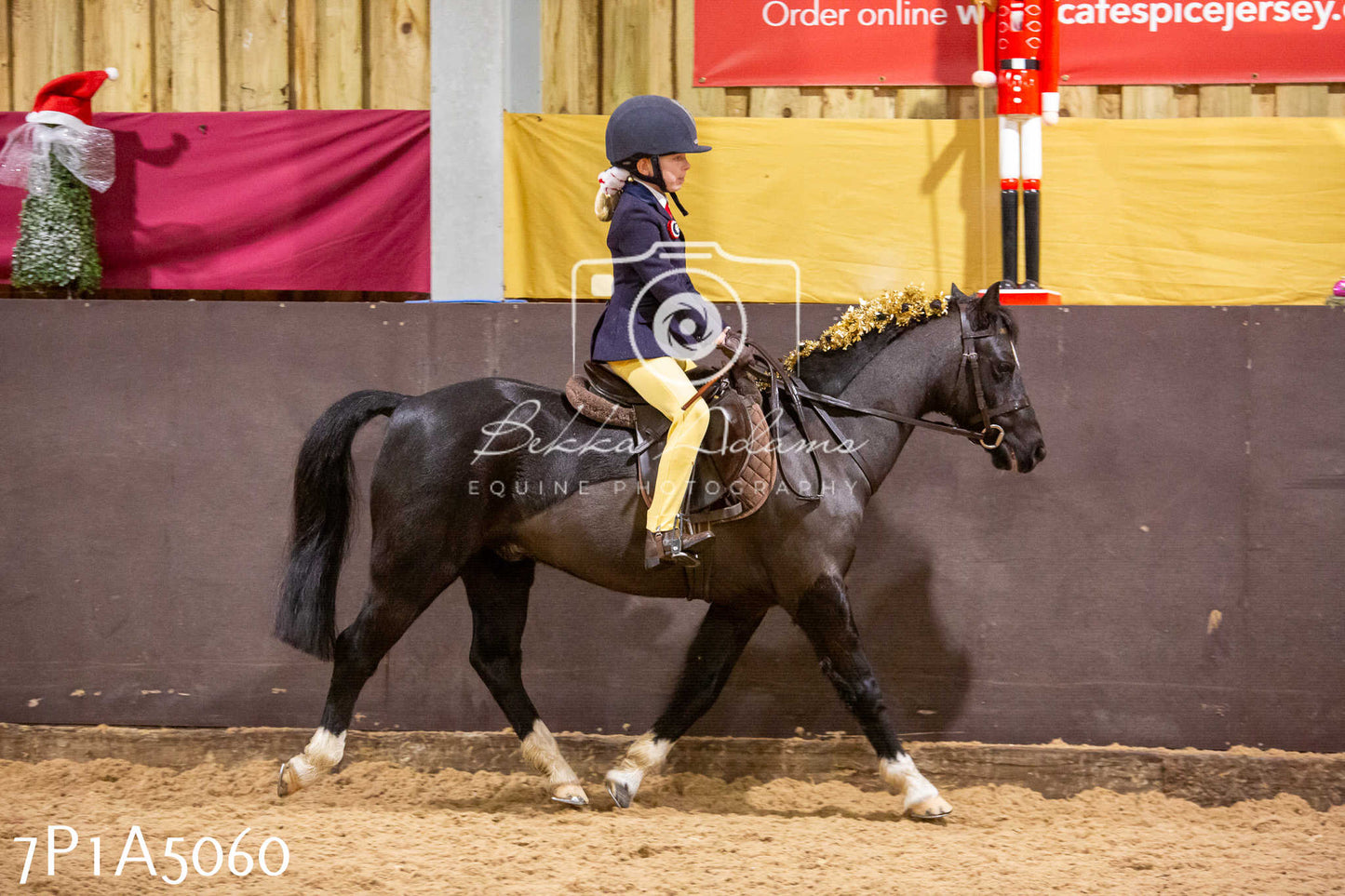 Home Farm Christmas Show 2024 - Ridden