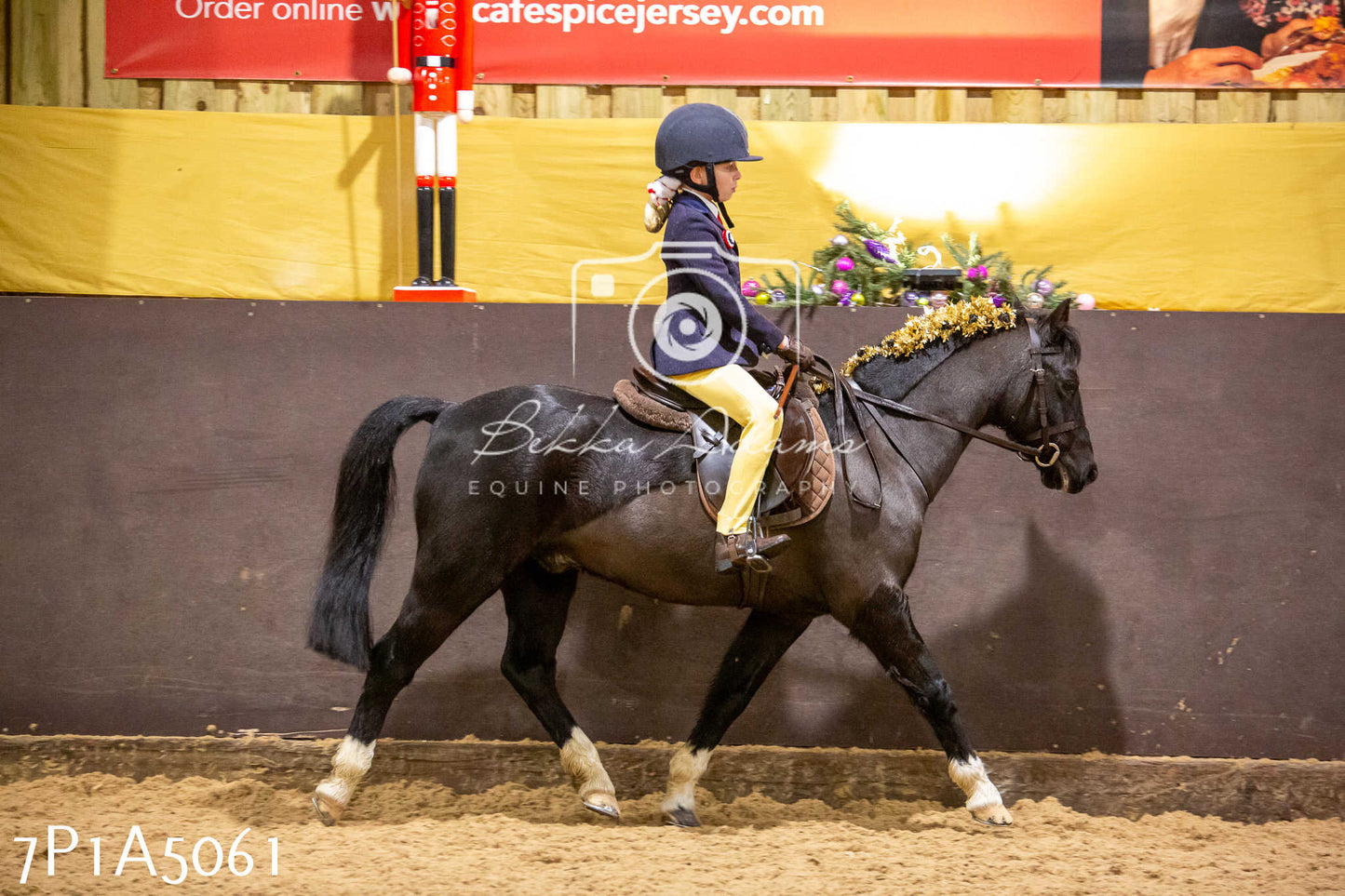 Home Farm Christmas Show 2024 - Ridden