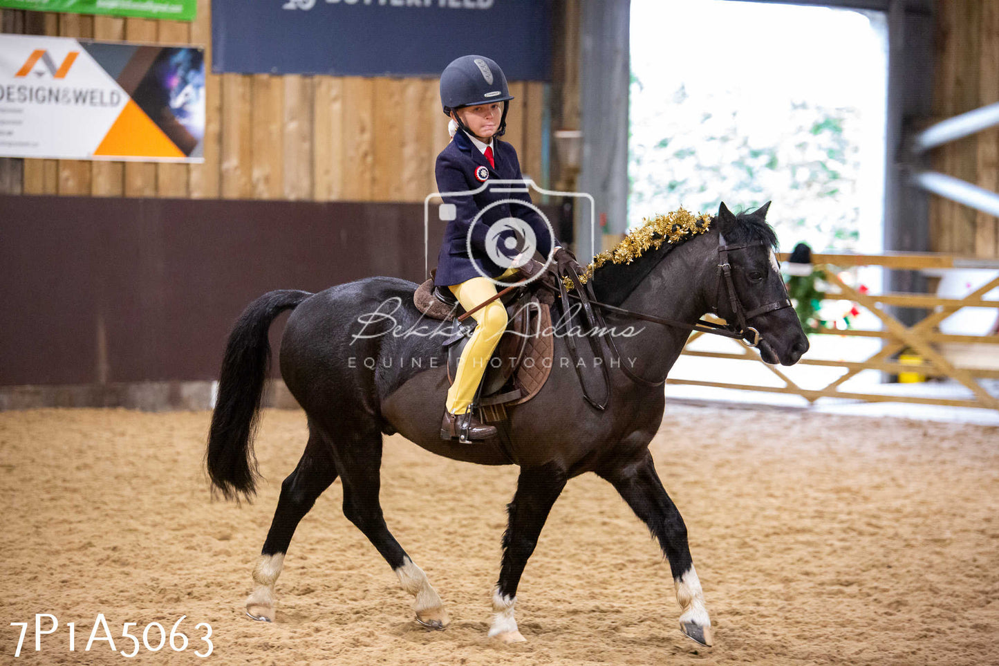 Home Farm Christmas Show 2024 - Ridden