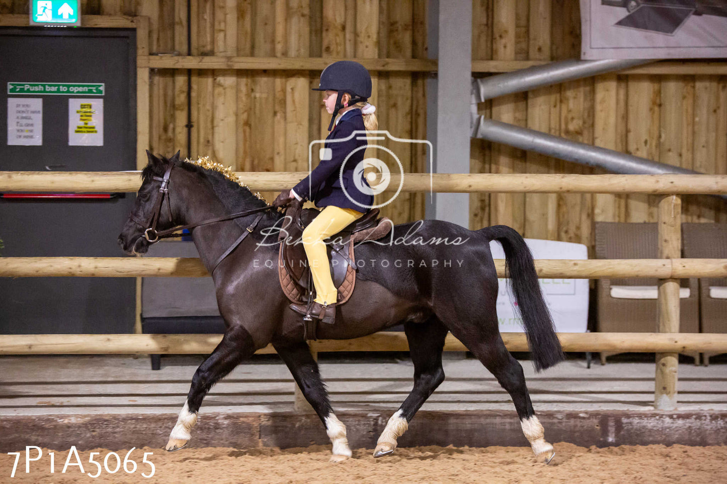 Home Farm Christmas Show 2024 - Ridden