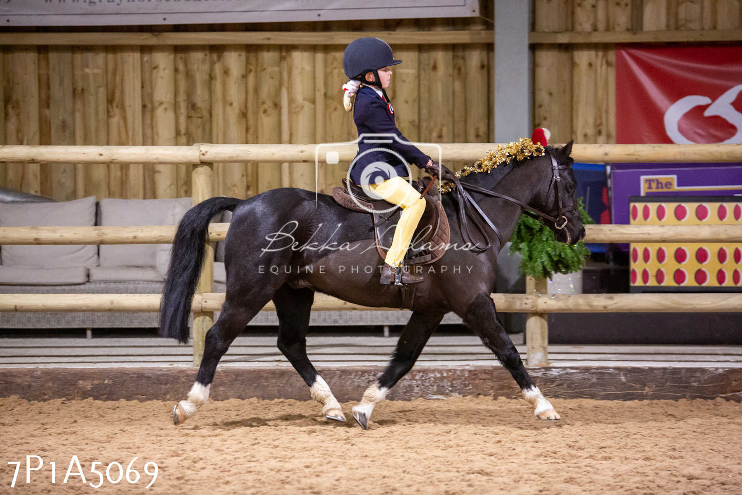 Home Farm Christmas Show 2024 - Ridden