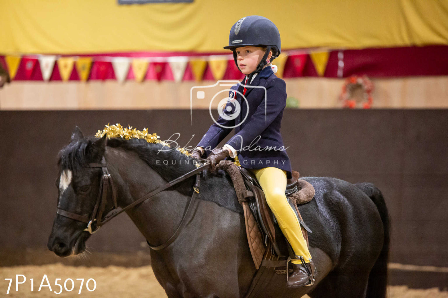 Home Farm Christmas Show 2024 - Ridden