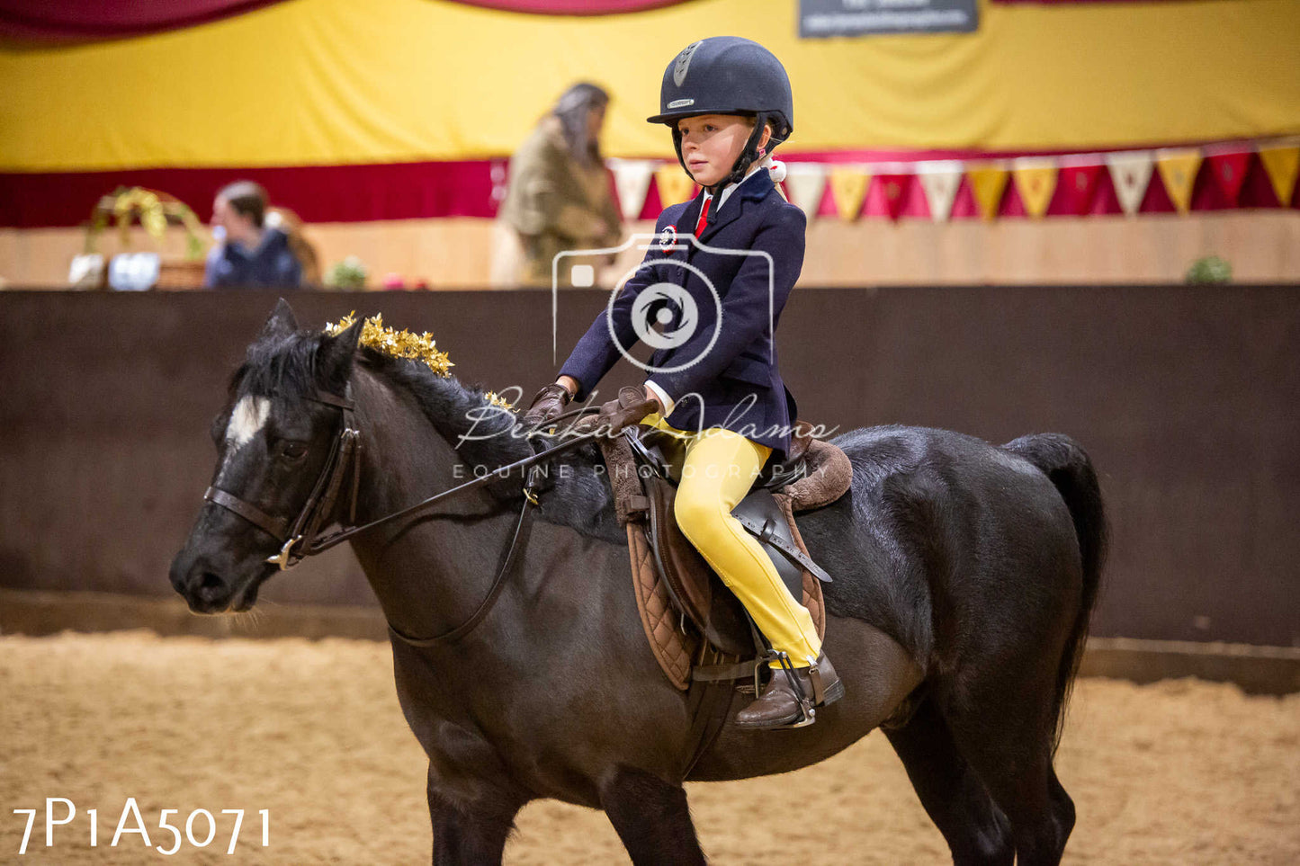Home Farm Christmas Show 2024 - Ridden