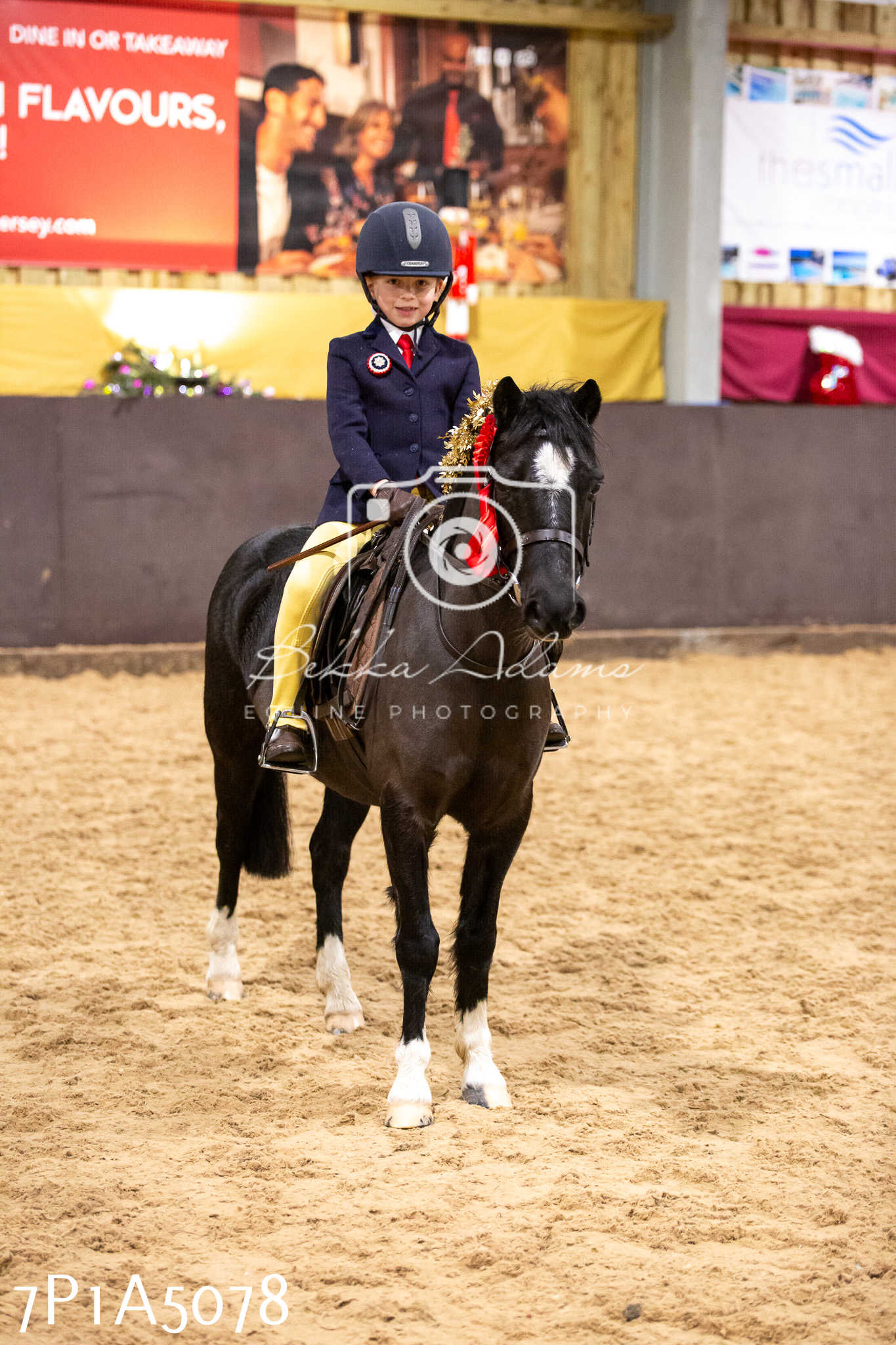 Home Farm Christmas Show 2024 - Ridden