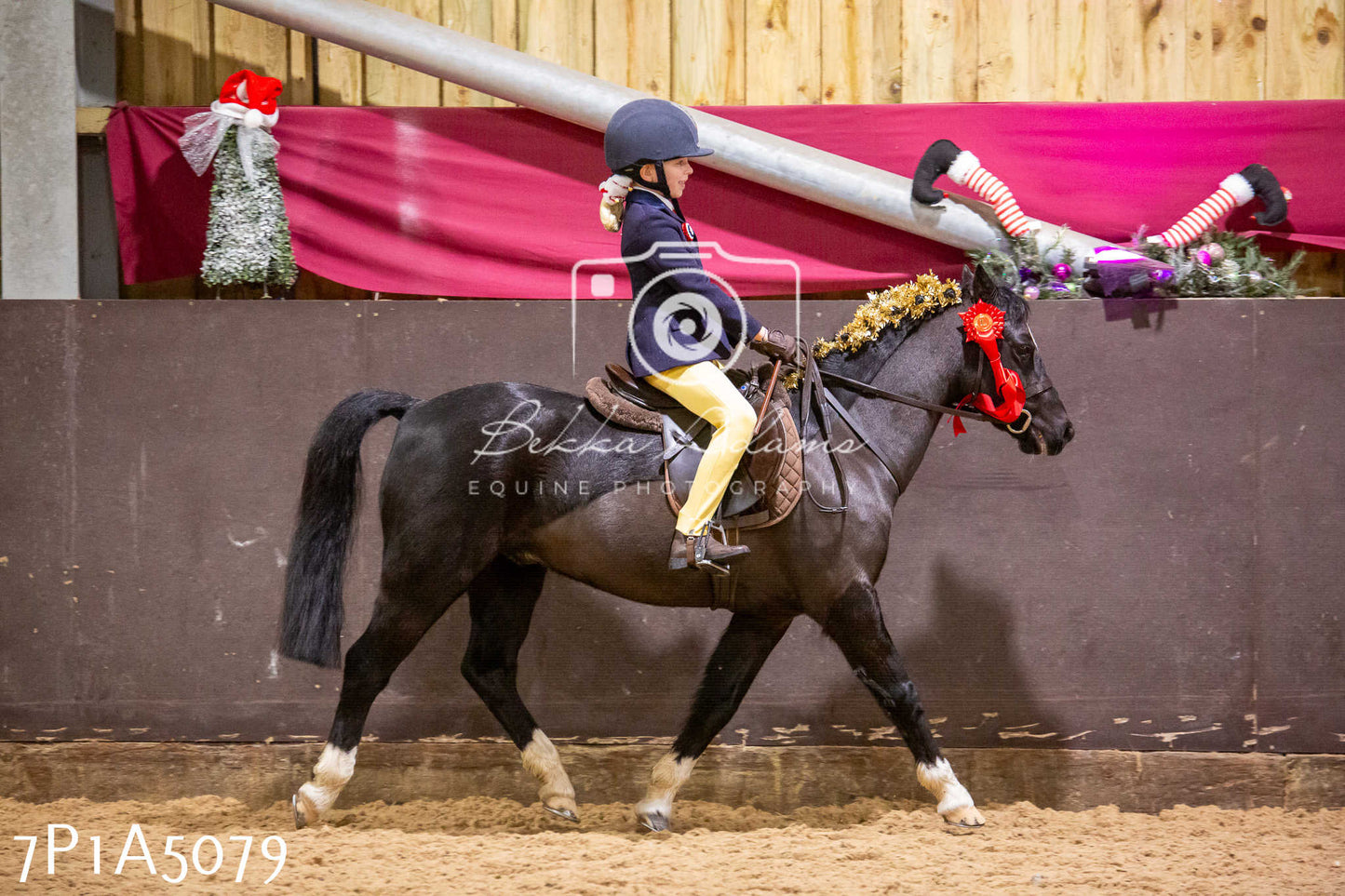 Home Farm Christmas Show 2024 - Ridden
