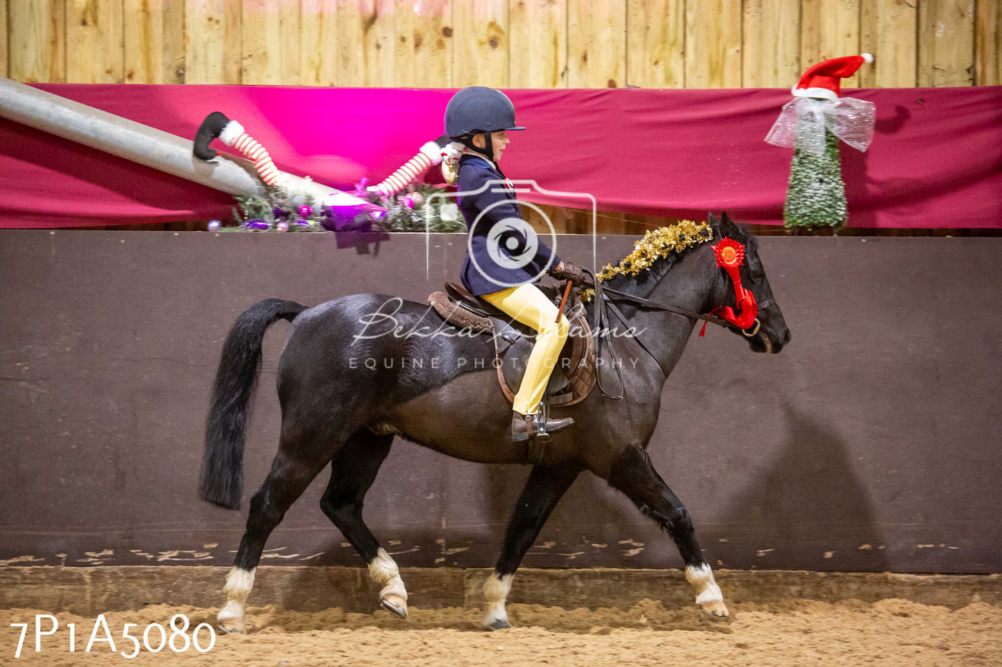 Home Farm Christmas Show 2024 - Ridden
