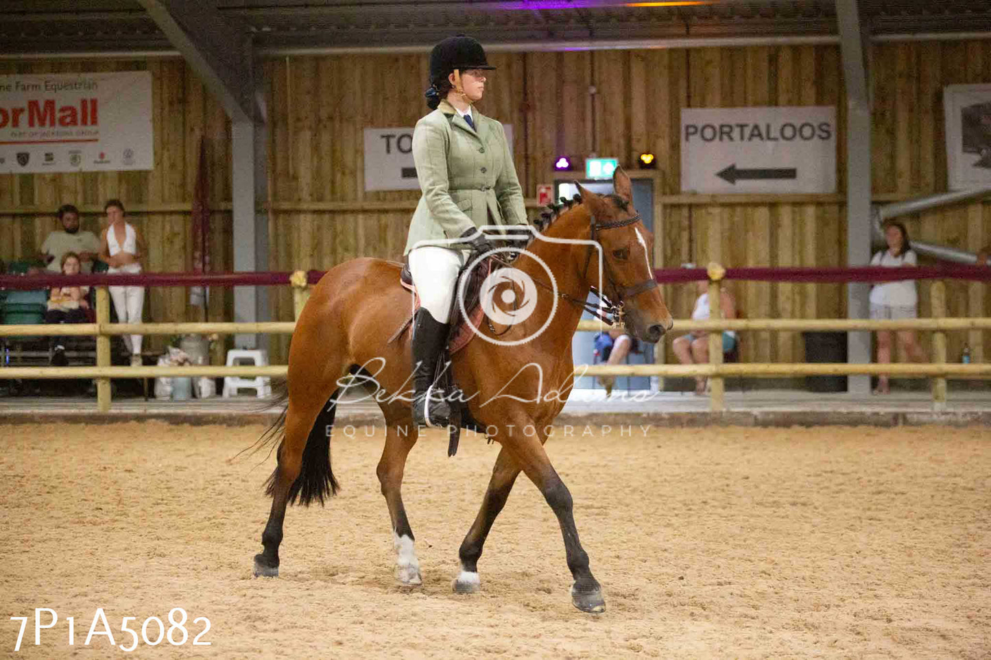 JHOYS 2023 - 10th September - Ridden Showing Pt1