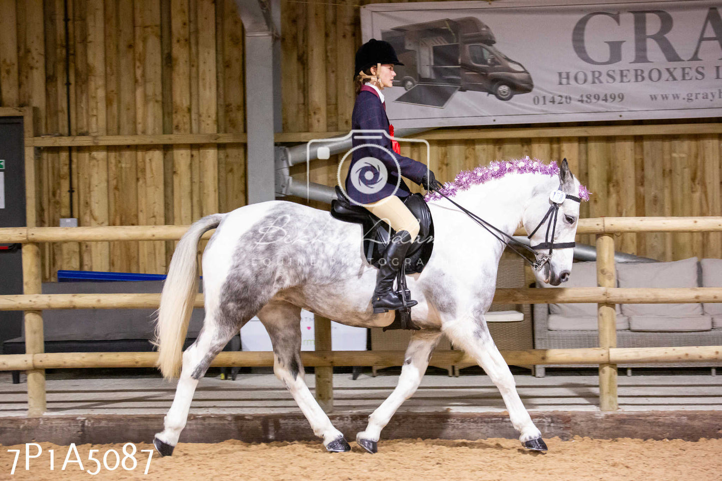 Home Farm Christmas Show 2024 - Ridden