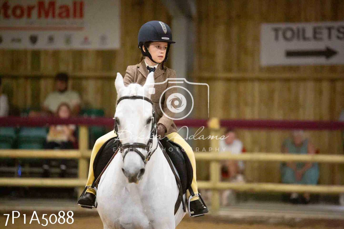 JHOYS 2023 - 10th September - Ridden Showing Pt1
