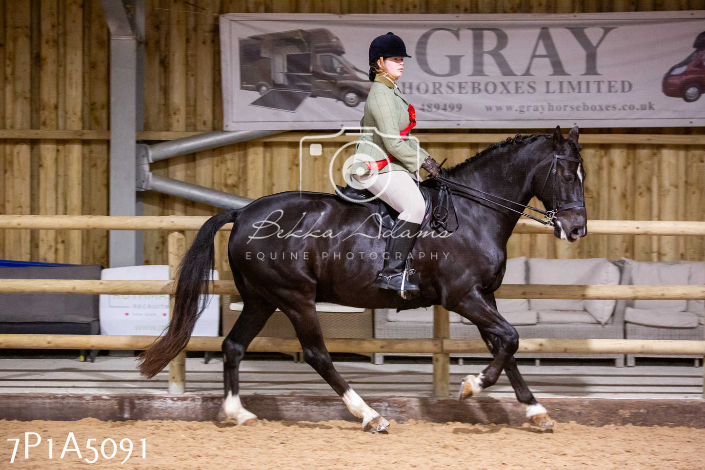 Home Farm Christmas Show 2024 - Ridden