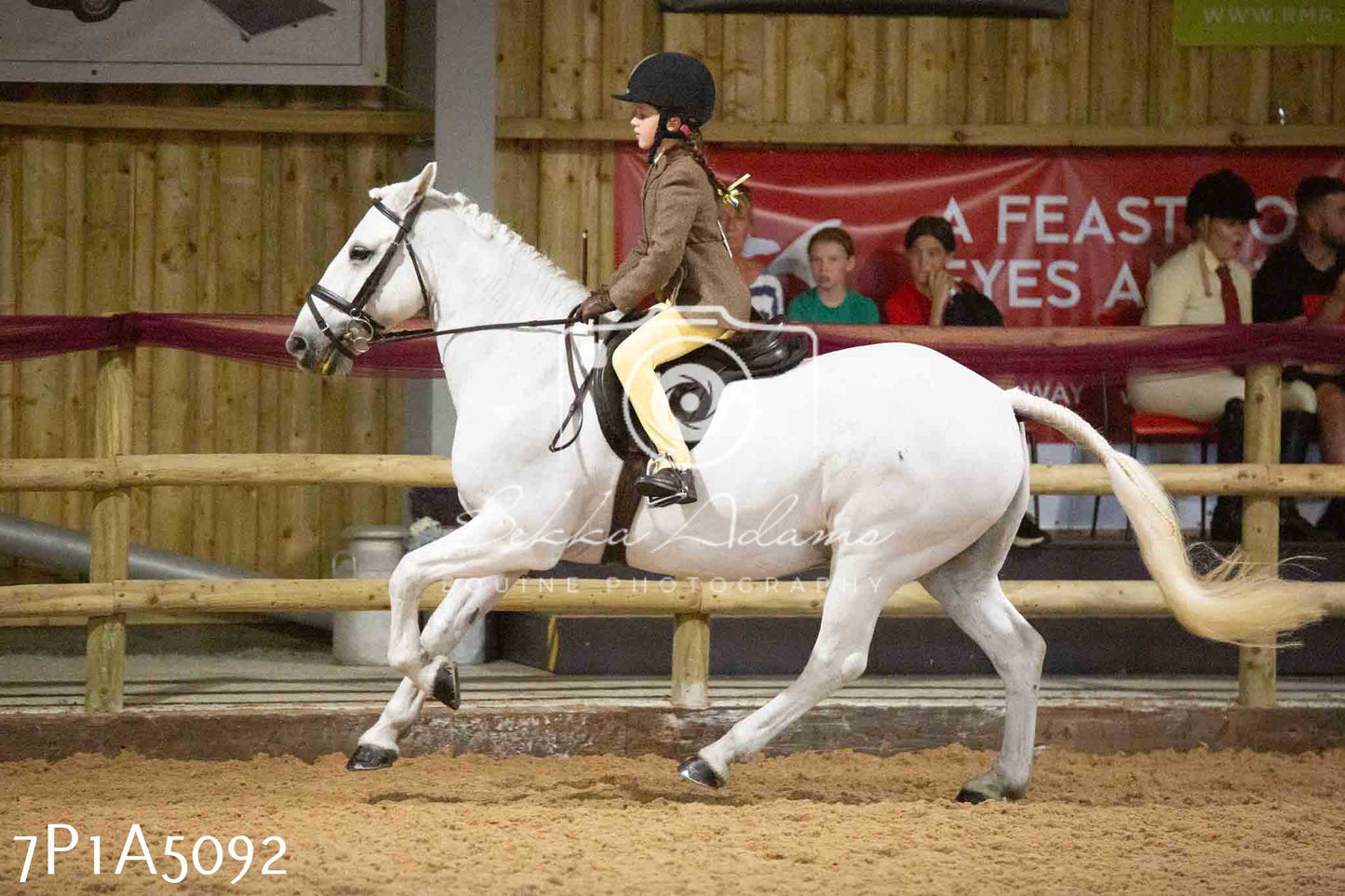 JHOYS 2023 - 10th September - Ridden Showing Pt1