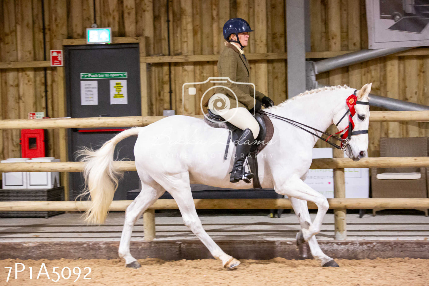 Home Farm Christmas Show 2024 - Ridden