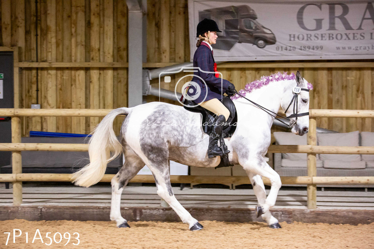 Home Farm Christmas Show 2024 - Ridden