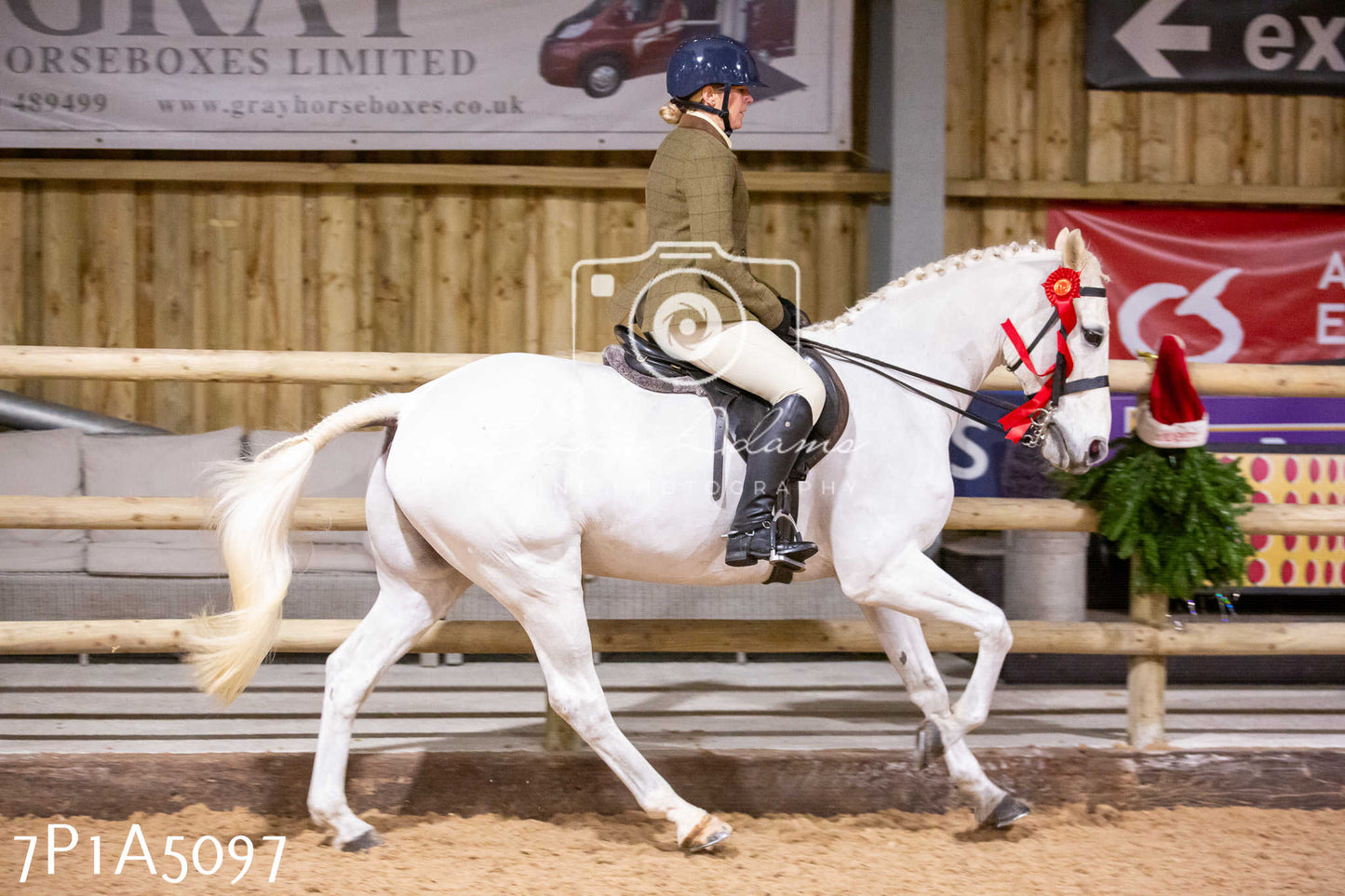 Home Farm Christmas Show 2024 - Ridden