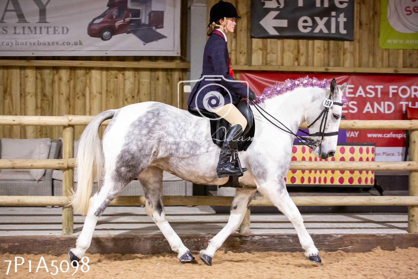 Home Farm Christmas Show 2024 - Ridden