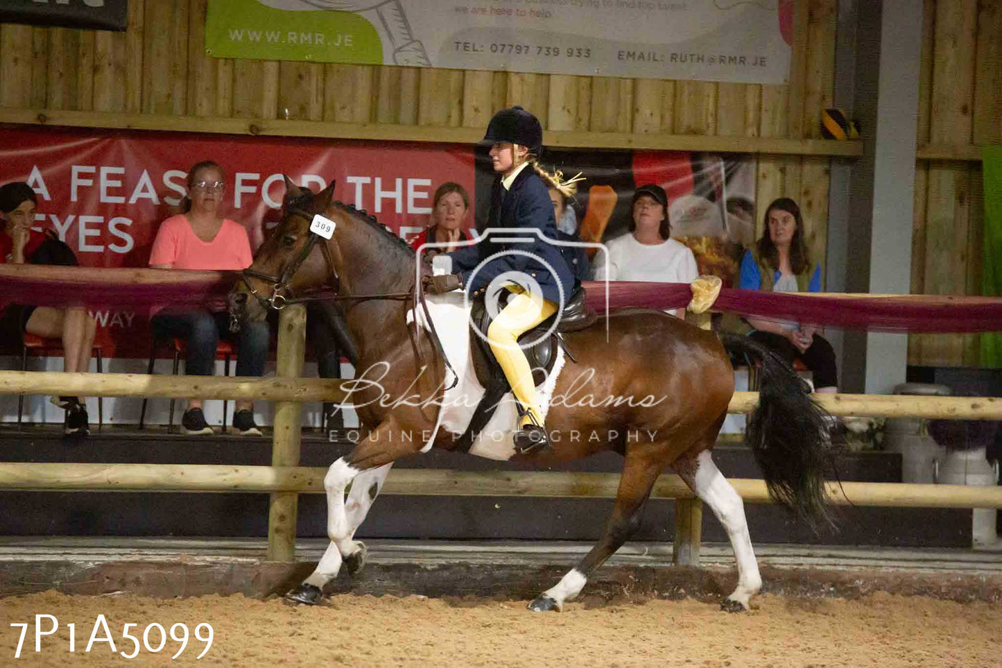 JHOYS 2023 - 10th September - Ridden Showing Pt1