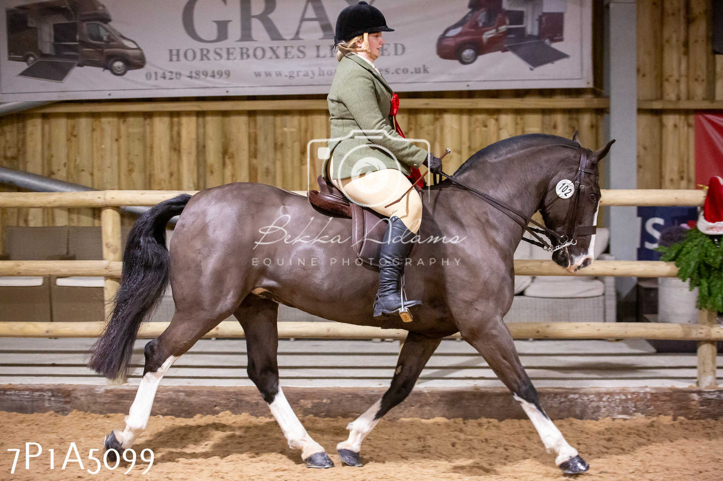 Home Farm Christmas Show 2024 - Ridden