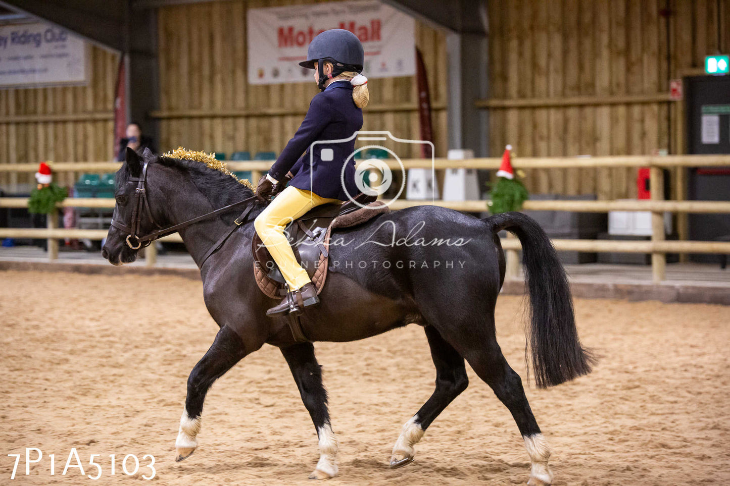 Home Farm Christmas Show 2024 - Ridden