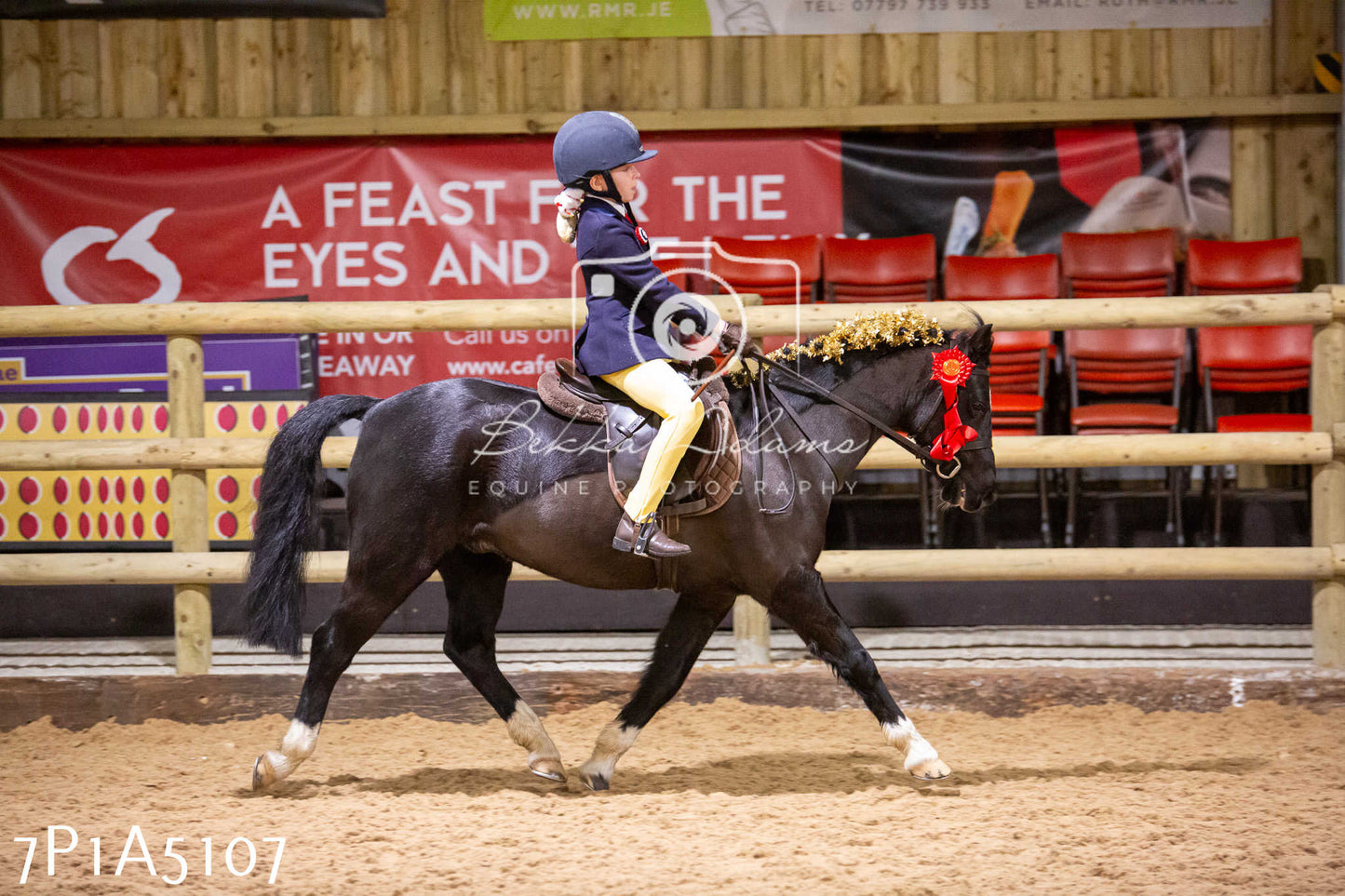 Home Farm Christmas Show 2024 - Ridden