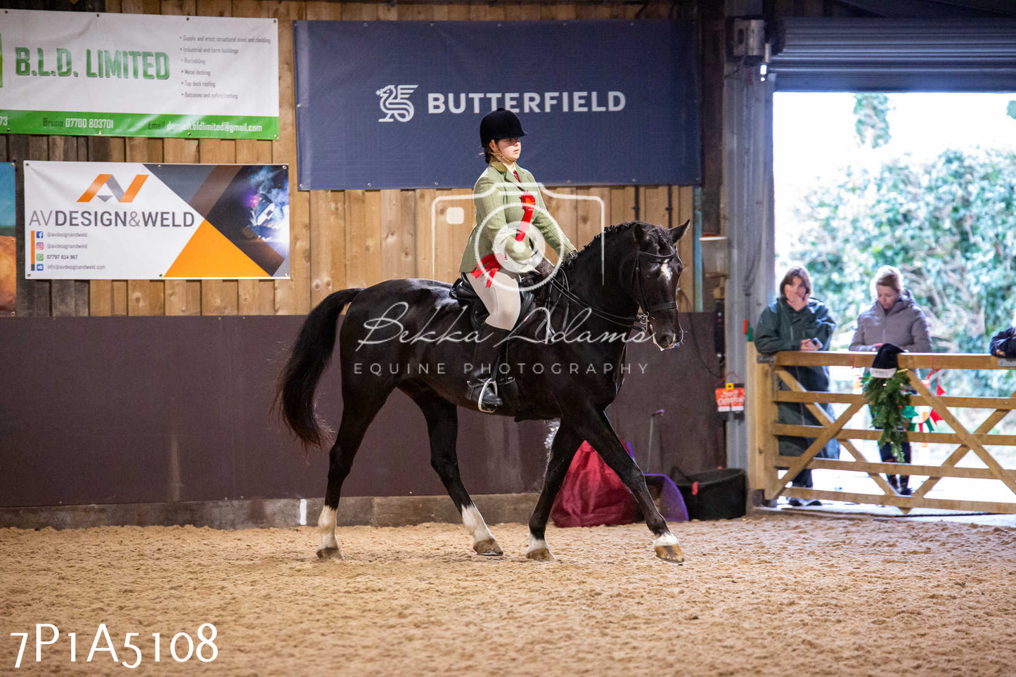 Home Farm Christmas Show 2024 - Ridden
