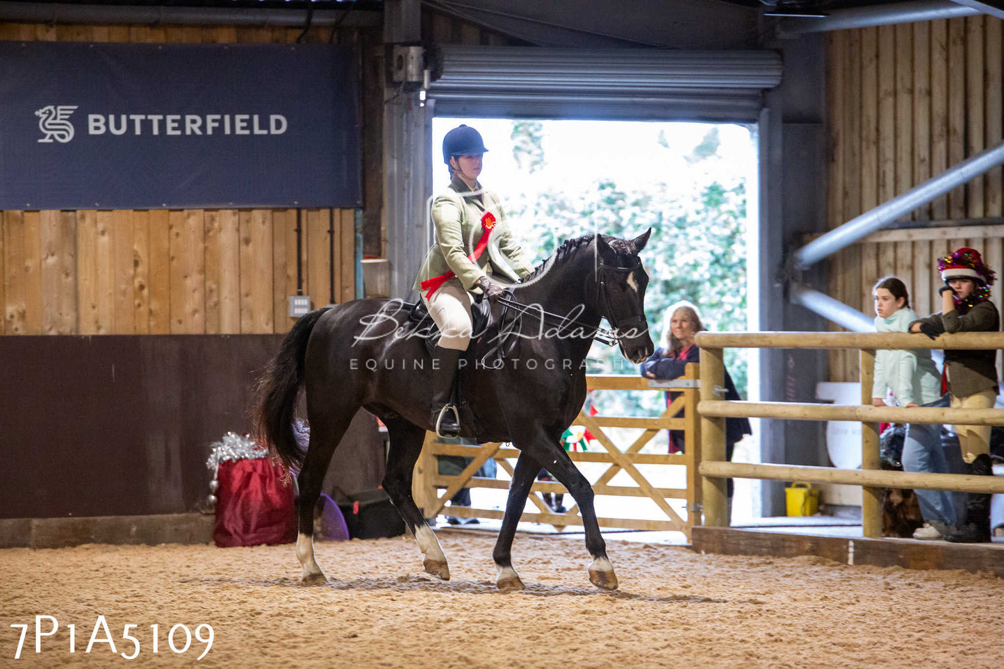 Home Farm Christmas Show 2024 - Ridden