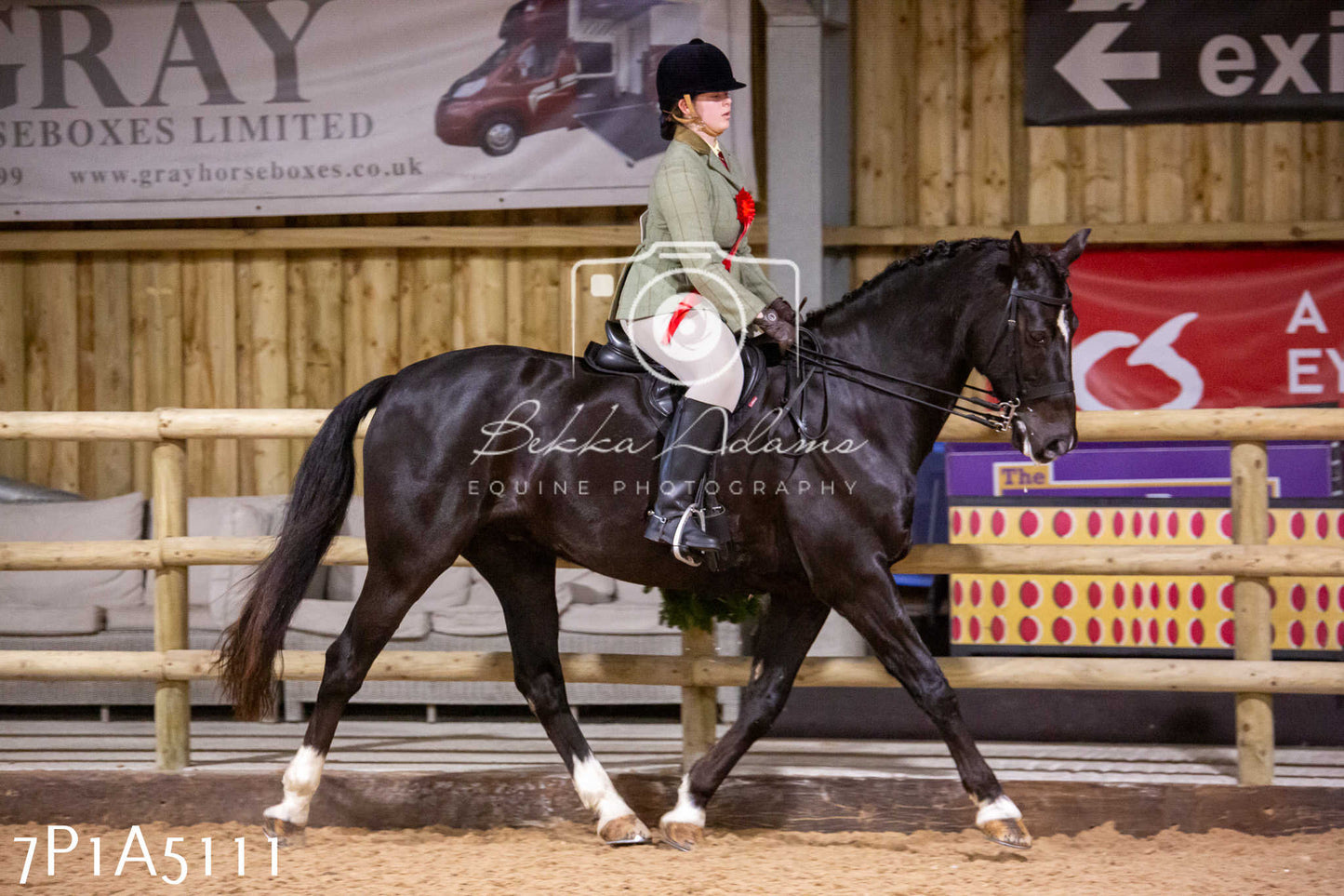 Home Farm Christmas Show 2024 - Ridden