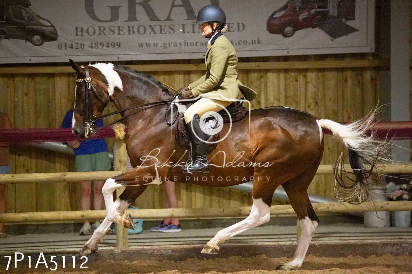 JHOYS 2023 - 10th September - Ridden Showing Pt1