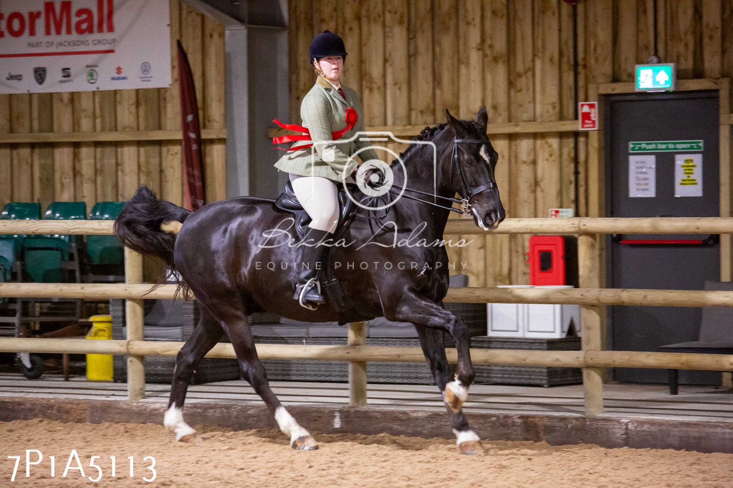Home Farm Christmas Show 2024 - Ridden