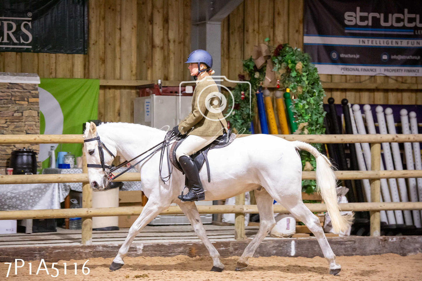 Home Farm Christmas Show 2024 - Ridden