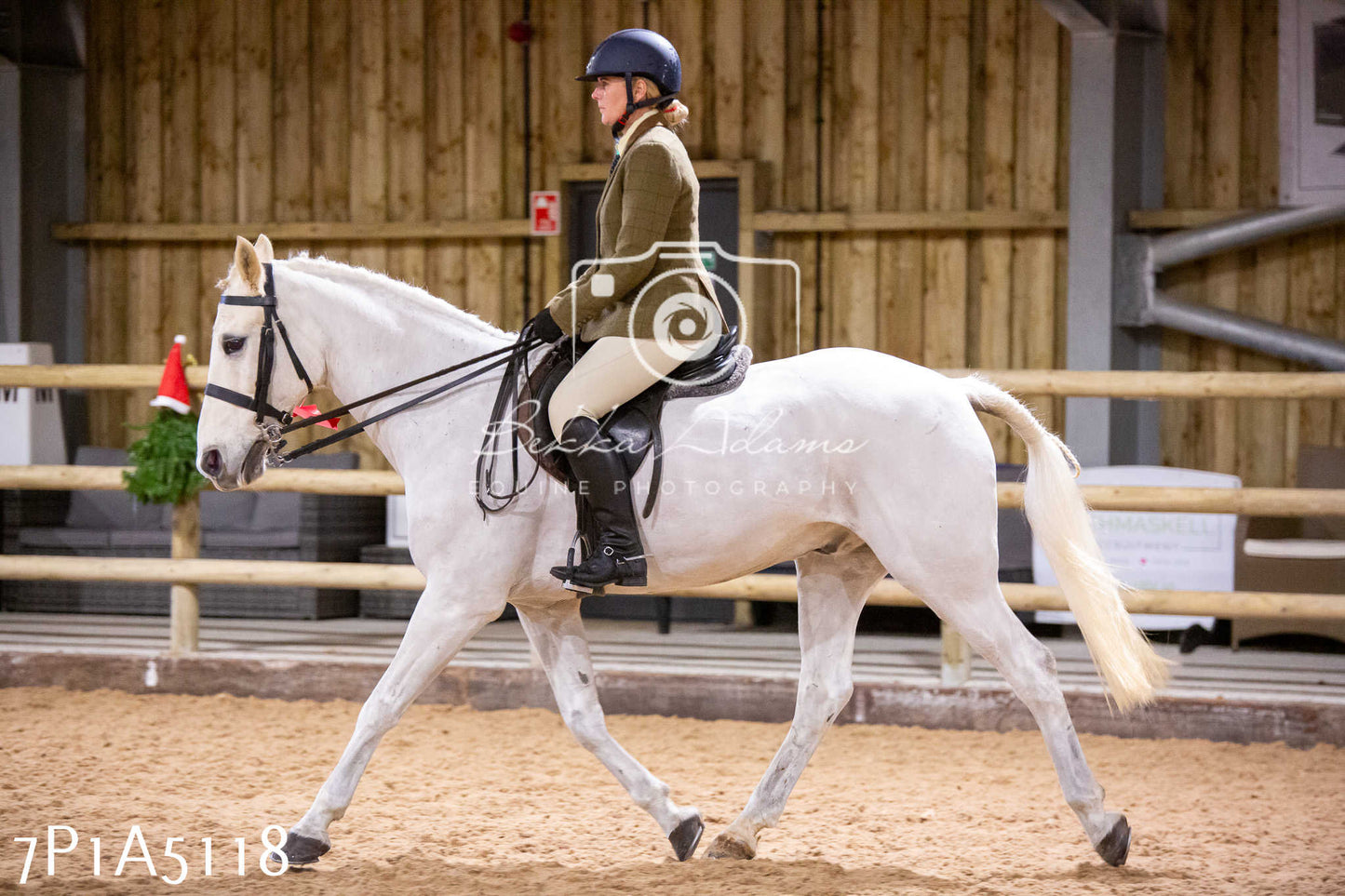 Home Farm Christmas Show 2024 - Ridden