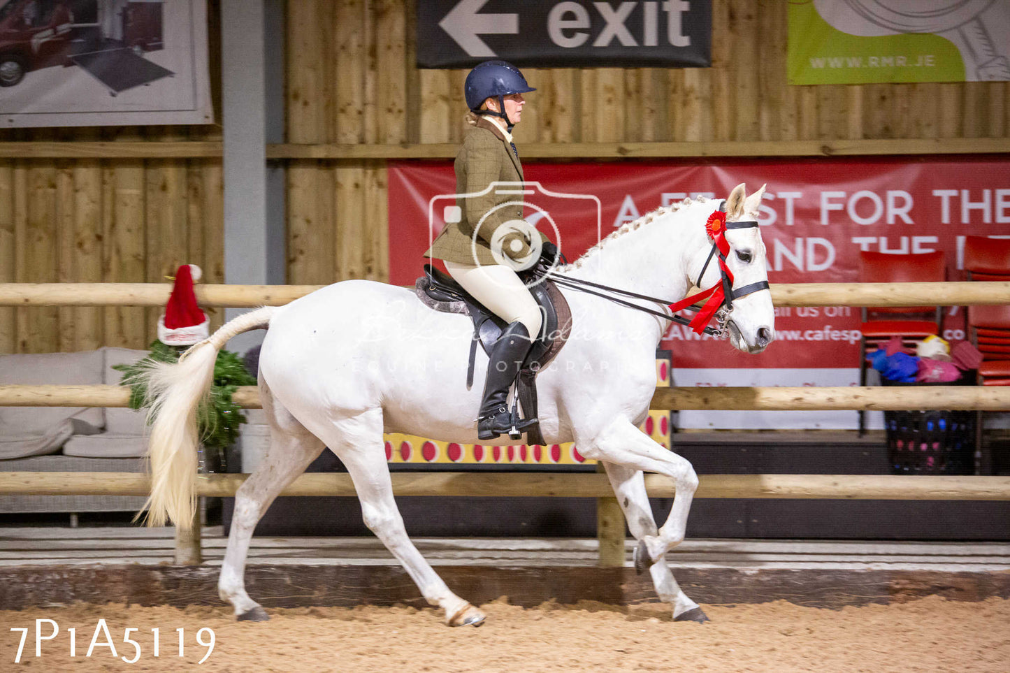 Home Farm Christmas Show 2024 - Ridden