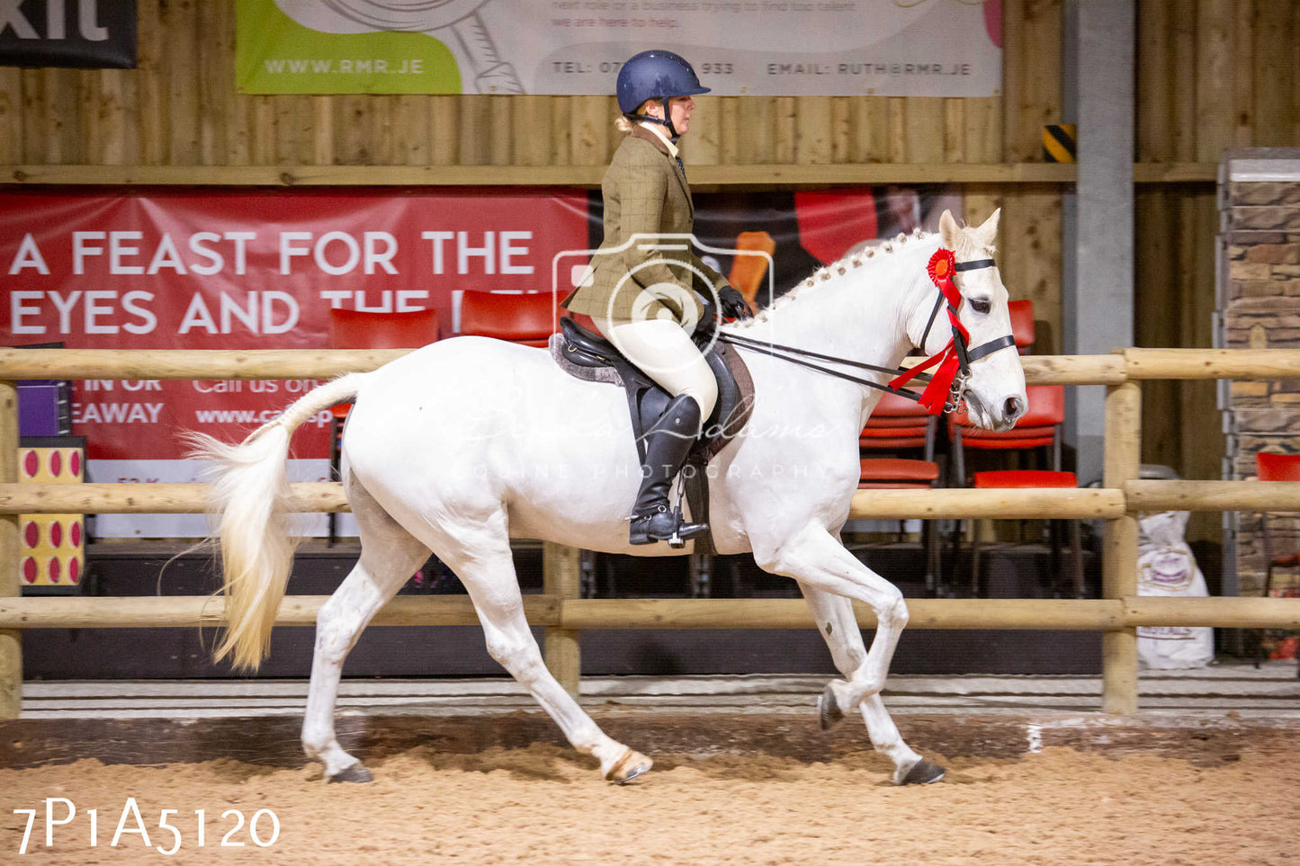 Home Farm Christmas Show 2024 - Ridden
