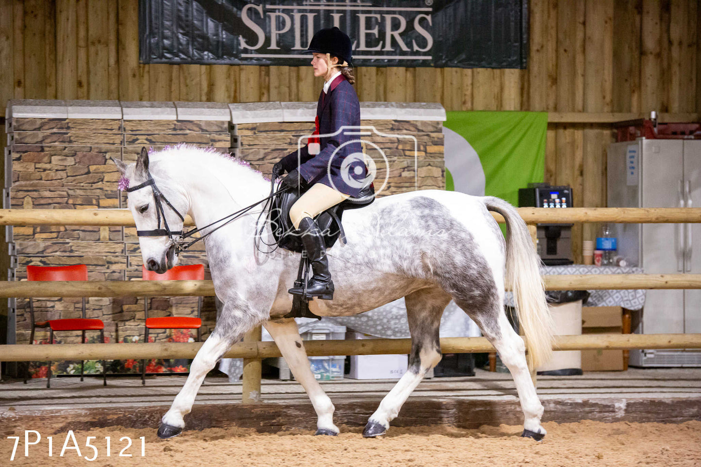 Home Farm Christmas Show 2024 - Ridden