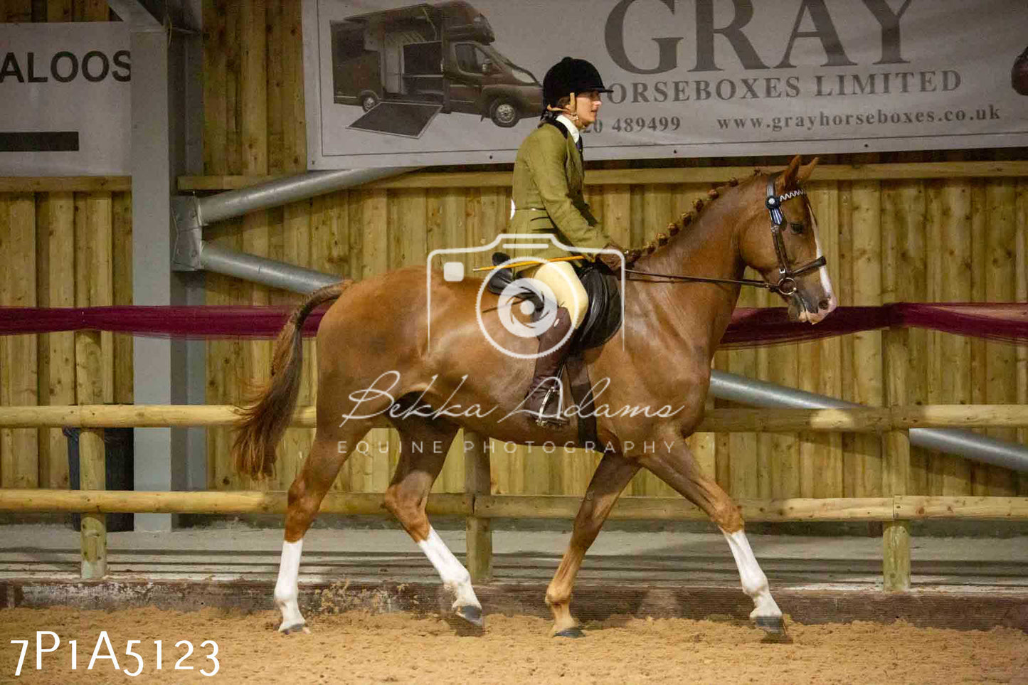 JHOYS 2023 - 10th September - Ridden Showing Pt1