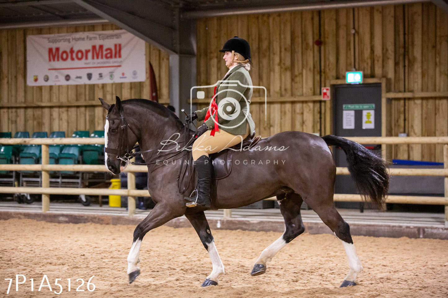 Home Farm Christmas Show 2024 - Ridden