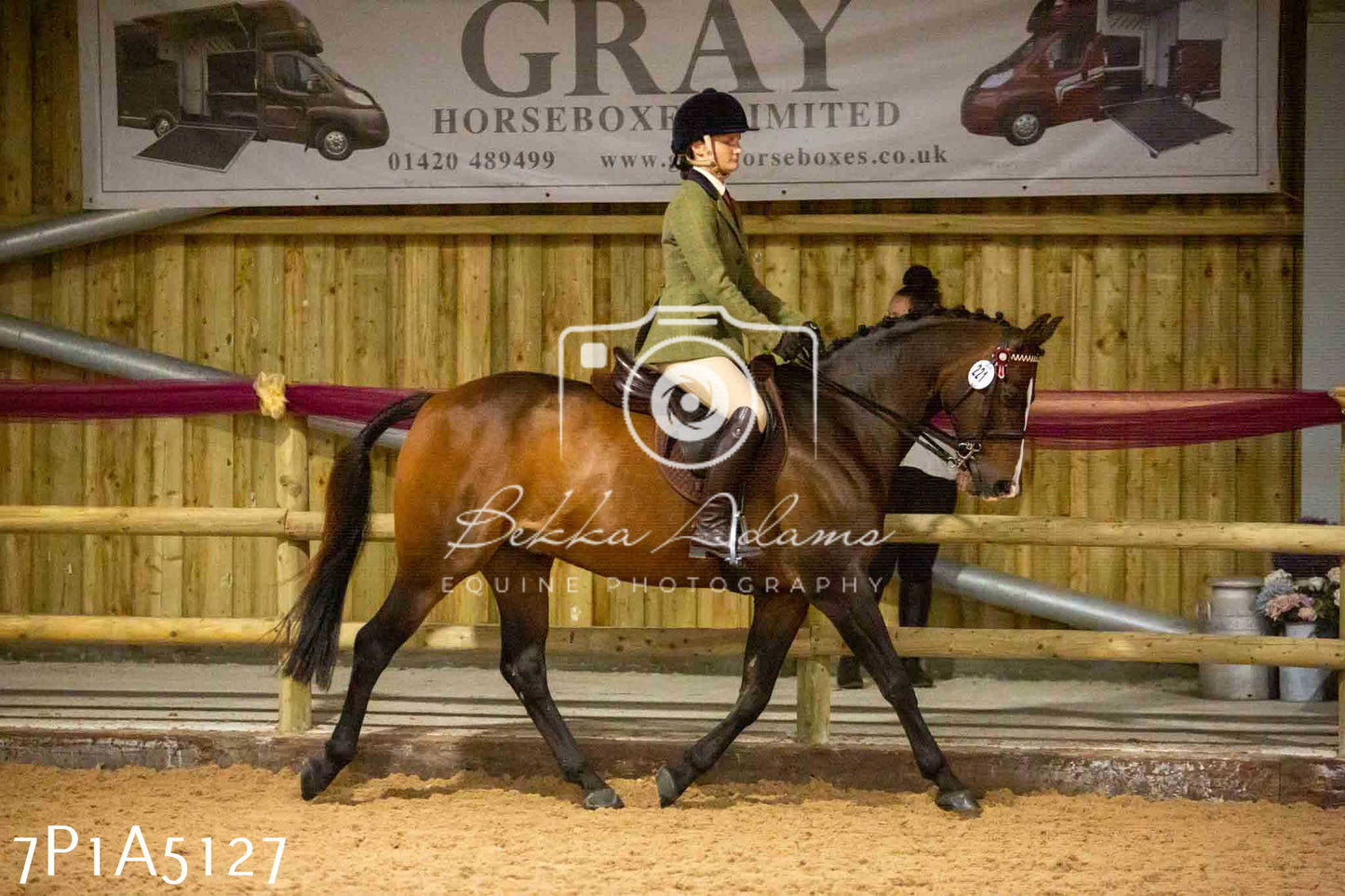 JHOYS 2023 - 10th September - Ridden Showing Pt1