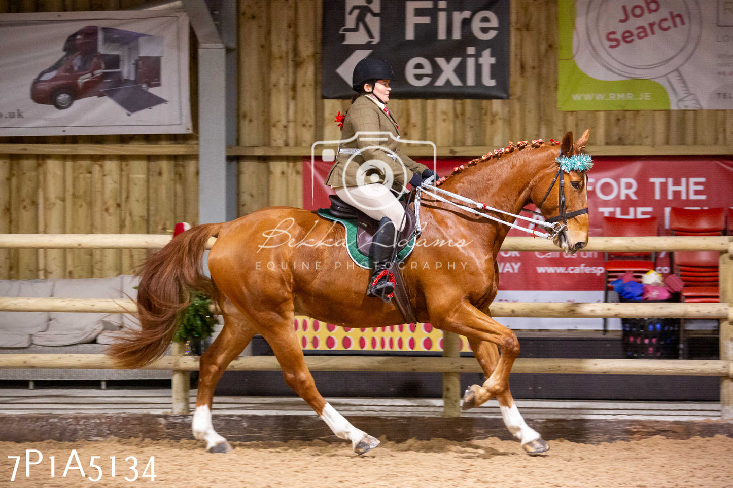 Home Farm Christmas Show 2024 - Ridden