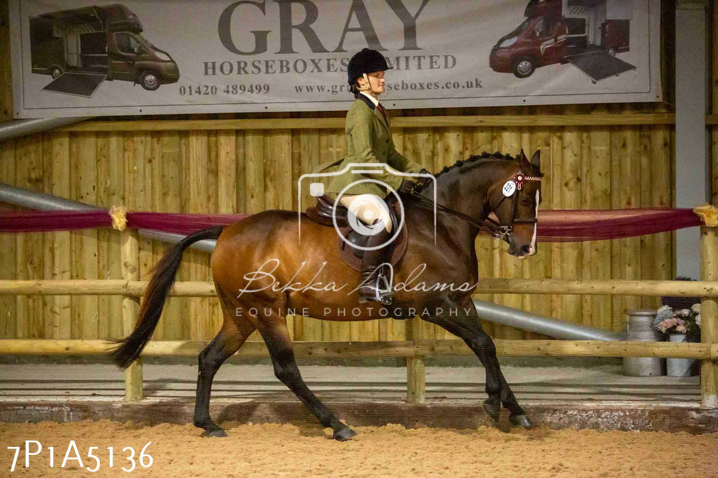 JHOYS 2023 - 10th September - Ridden Showing Pt1