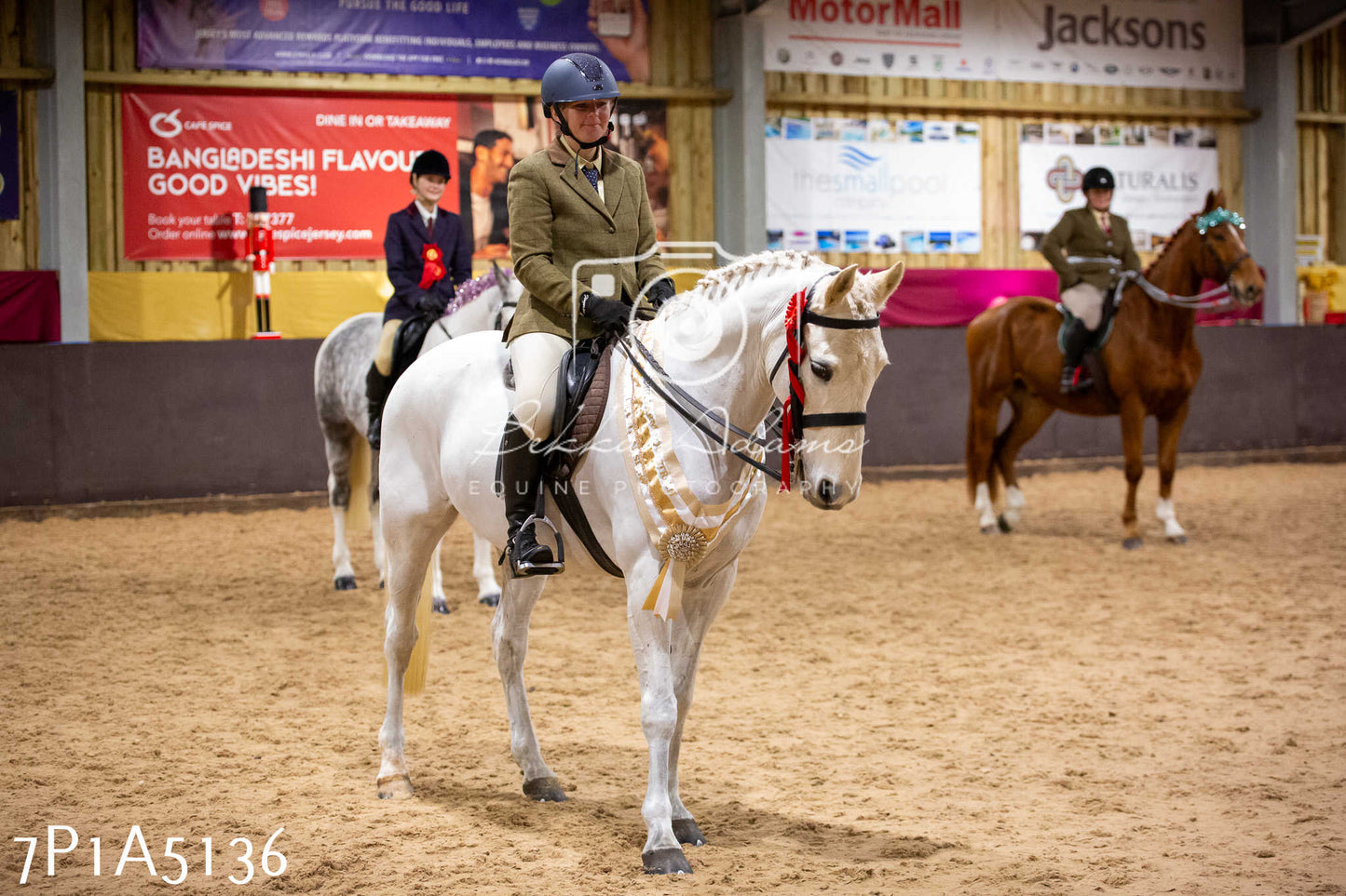 Home Farm Christmas Show 2024 - Ridden