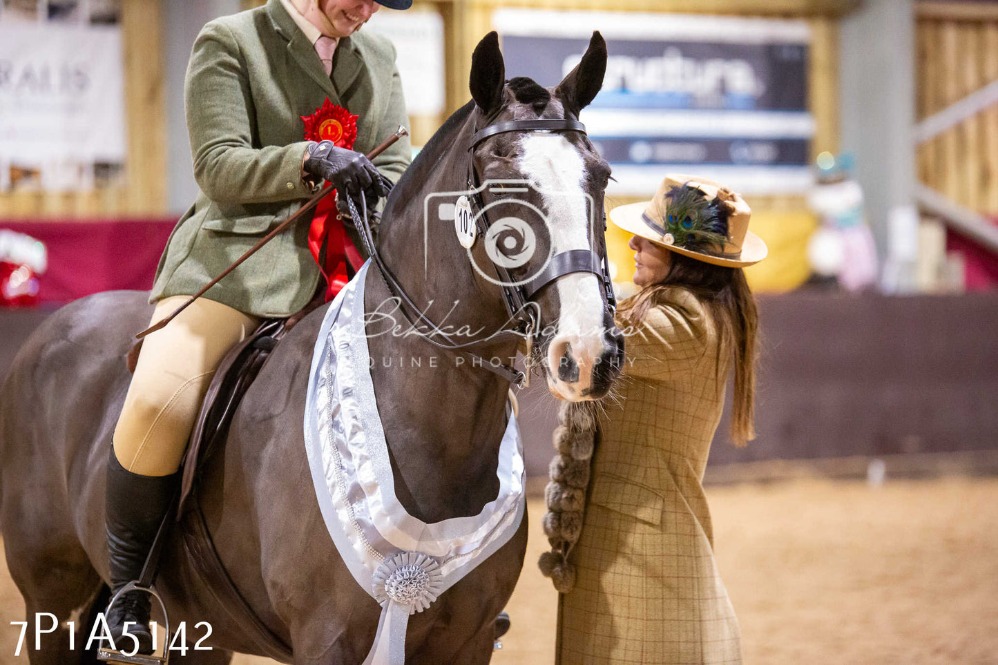 Home Farm Christmas Show 2024 - Ridden