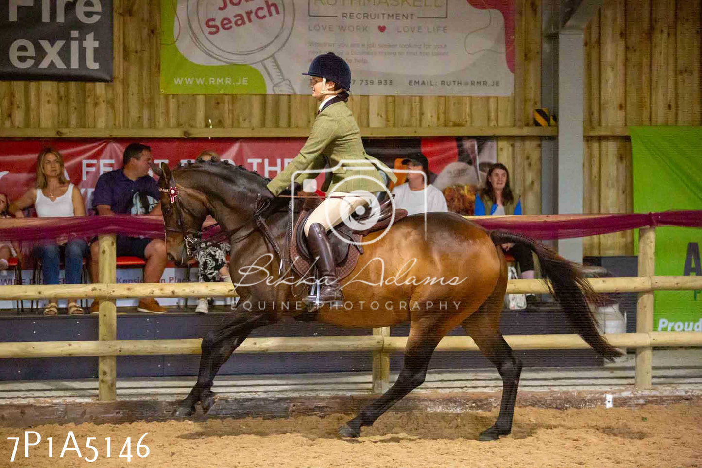 JHOYS 2023 - 10th September - Ridden Showing Pt1