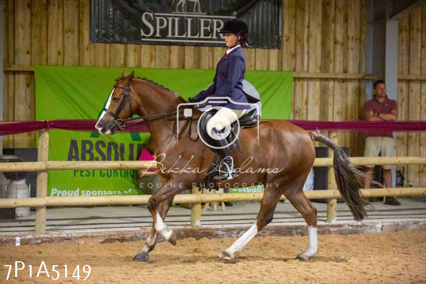 JHOYS 2023 - 10th September - Ridden Showing Pt1
