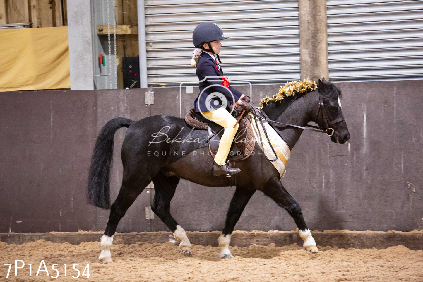 Home Farm Christmas Show 2024 - Ridden