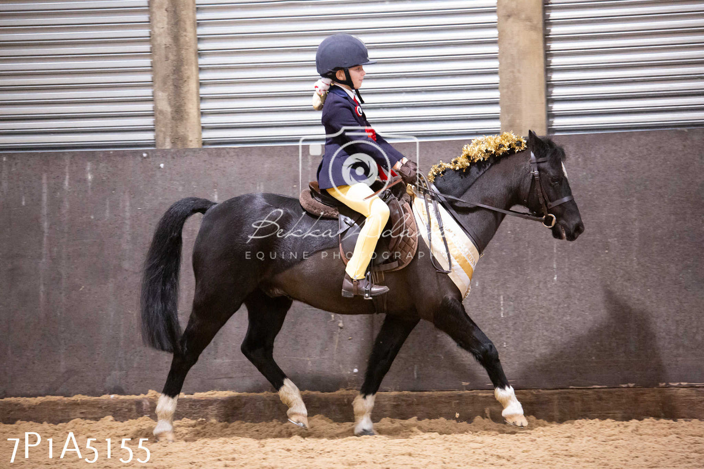 Home Farm Christmas Show 2024 - Ridden