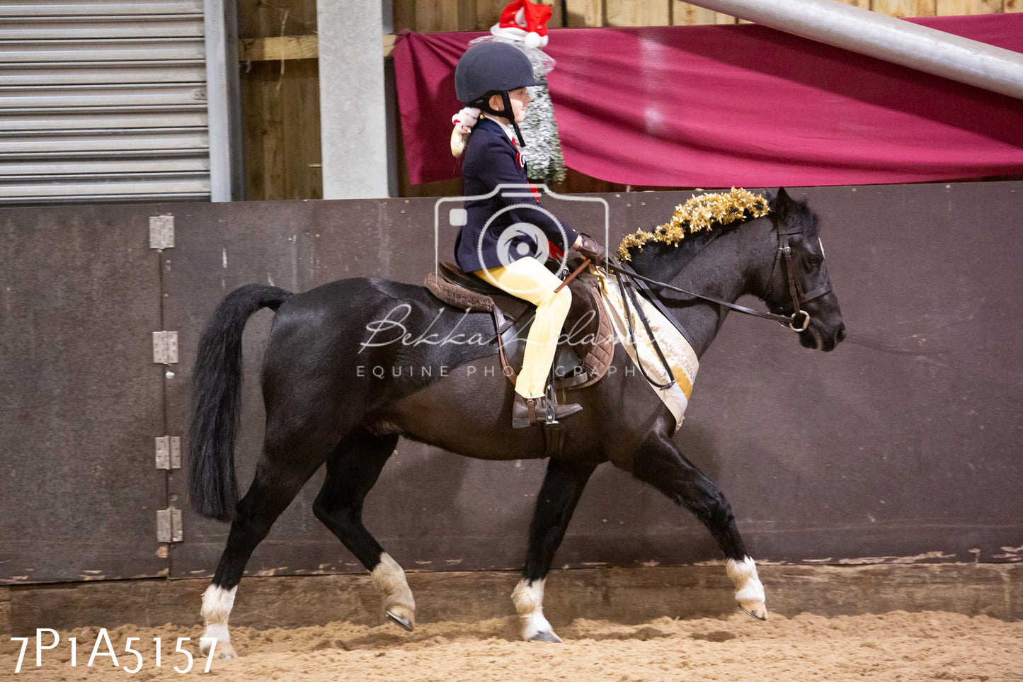 Home Farm Christmas Show 2024 - Ridden