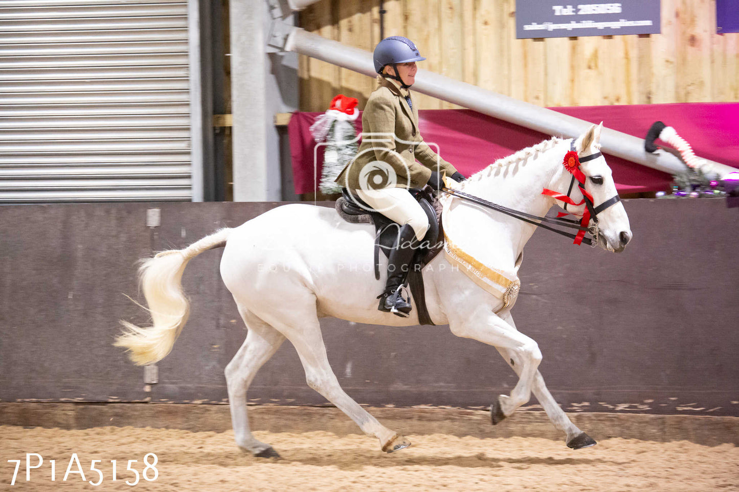 Home Farm Christmas Show 2024 - Ridden