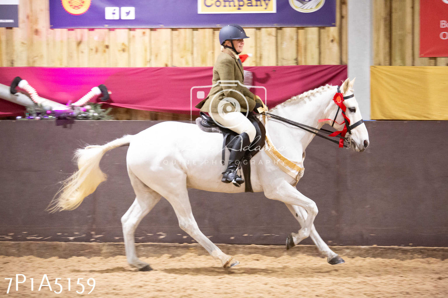 Home Farm Christmas Show 2024 - Ridden