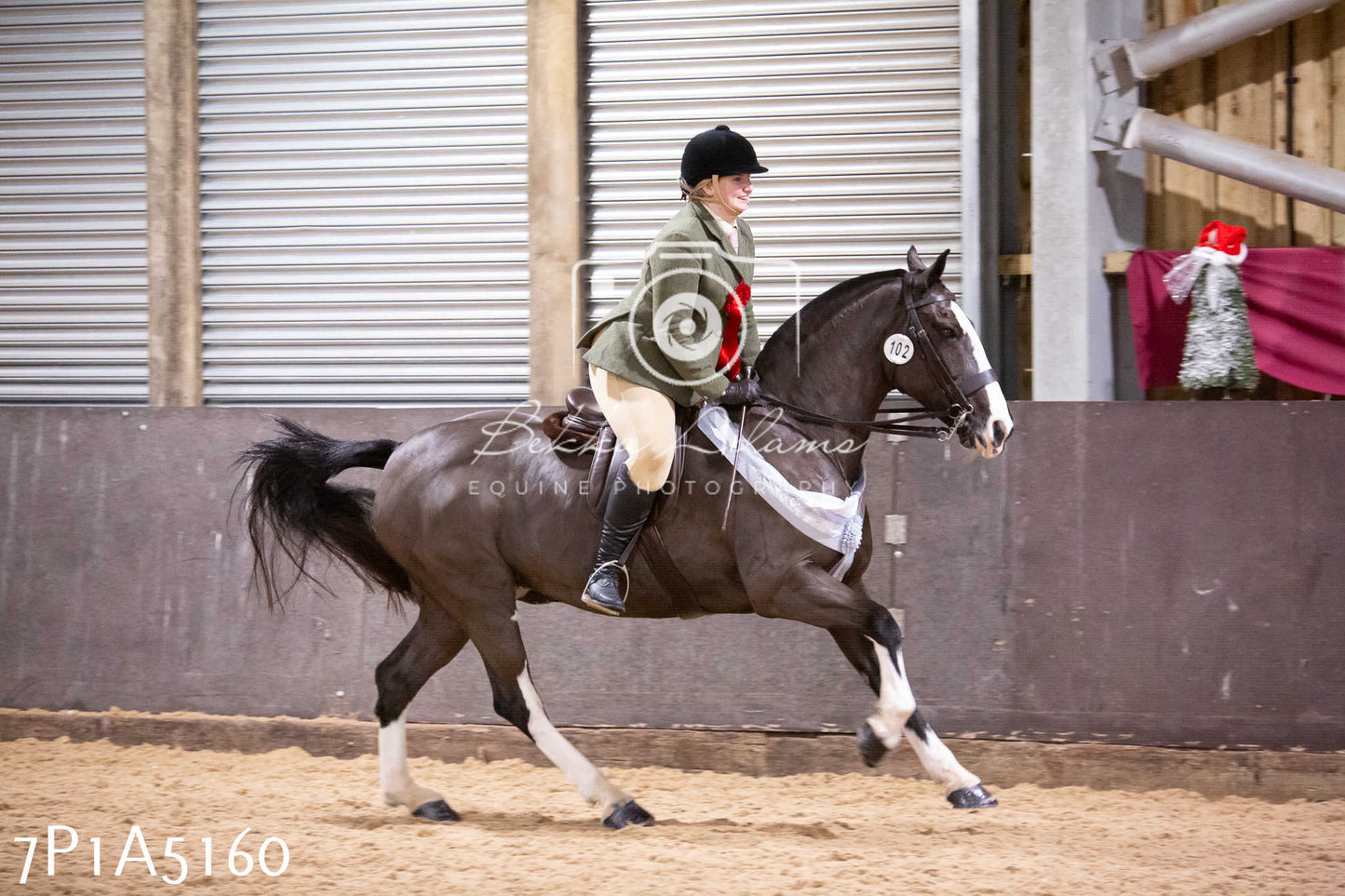 Home Farm Christmas Show 2024 - Ridden